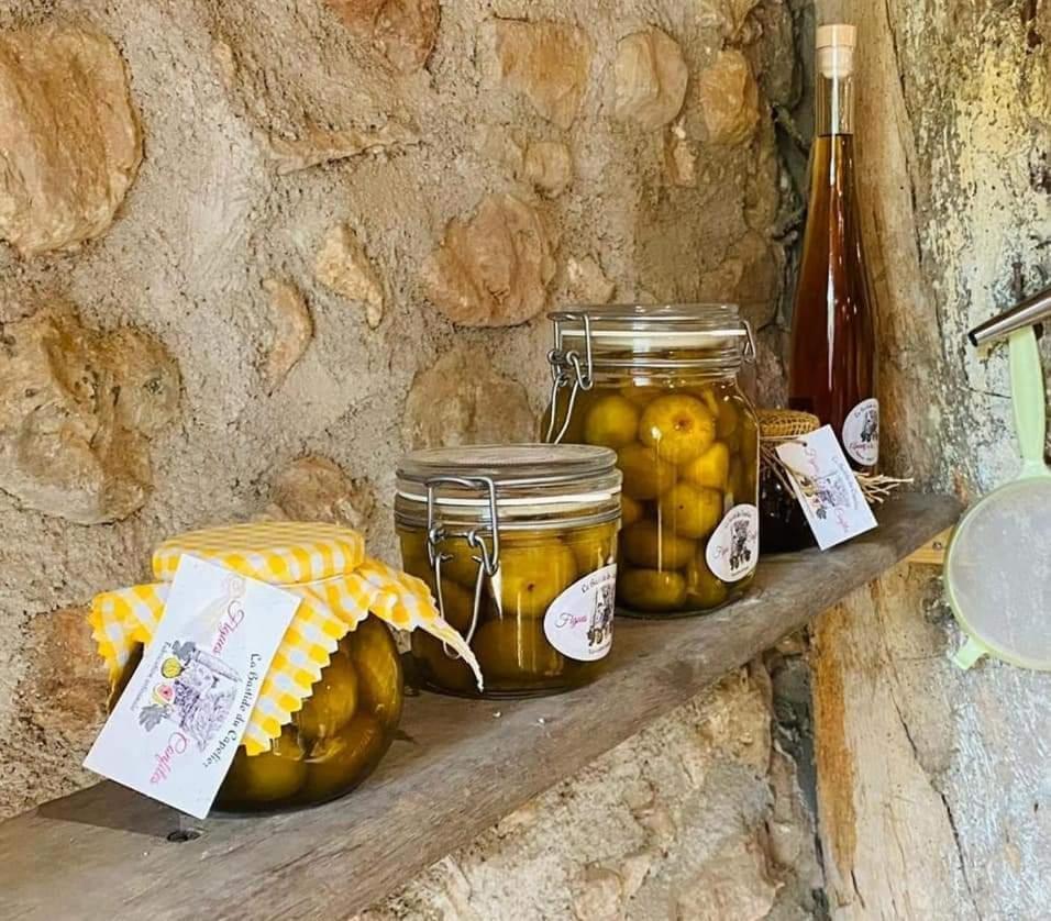 סאלרן La Bastide Du Capelier - Chambres D'Hotes Avec Baignoire Balneotherapie - 3 Etoiles מראה חיצוני תמונה
